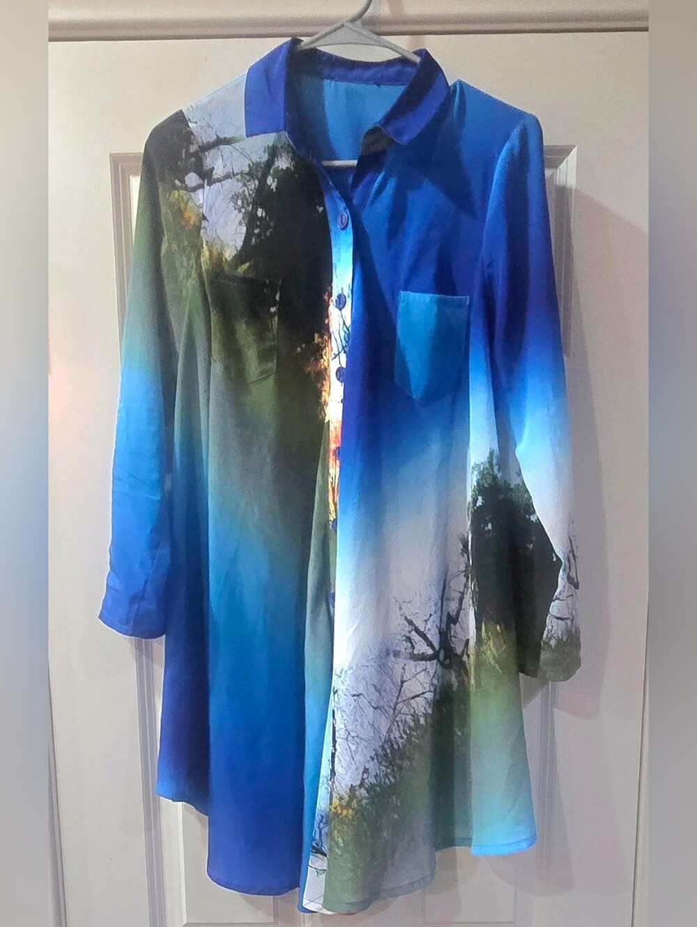 Blue Gradient Scenic Button-Front Tunic Top